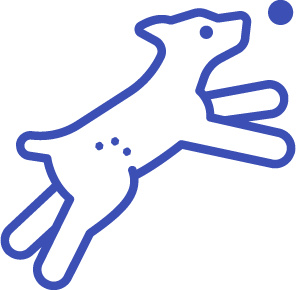 Individueller Trainingsplan