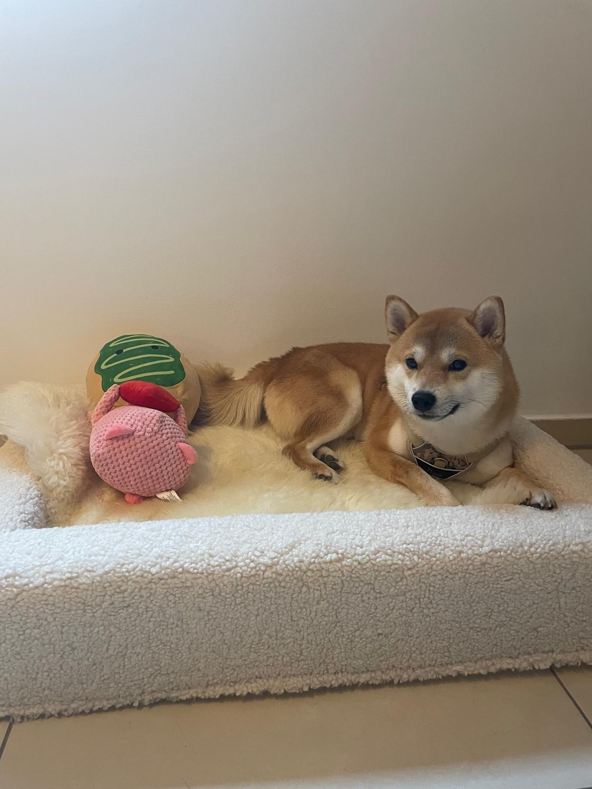 07f53fd4-5569-4037-bd2f-c7f627898425