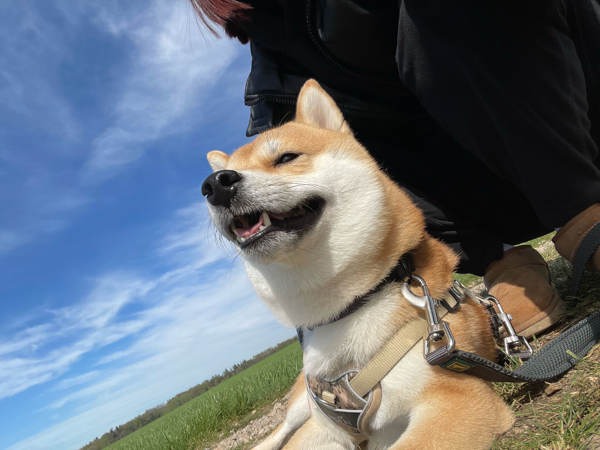 4c0e39b7-1959-4a20-be24-1fd44bdf7b15